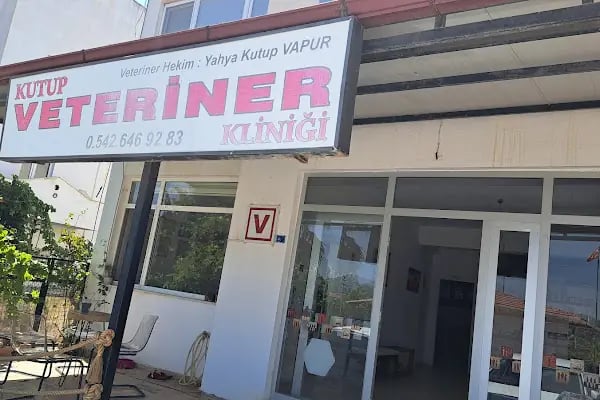 Kutup Veteriner Kliniği Bodrum - Resim 10
