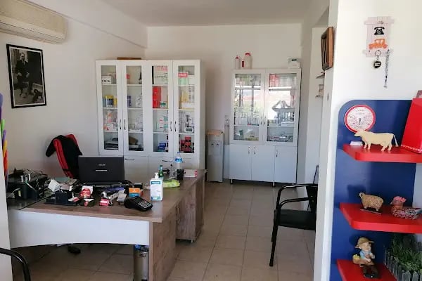 Kutup Veteriner Kliniği Bodrum - Resim 5