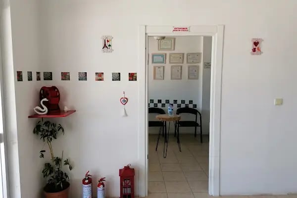 Kutup Veteriner Kliniği Bodrum - Resim 7