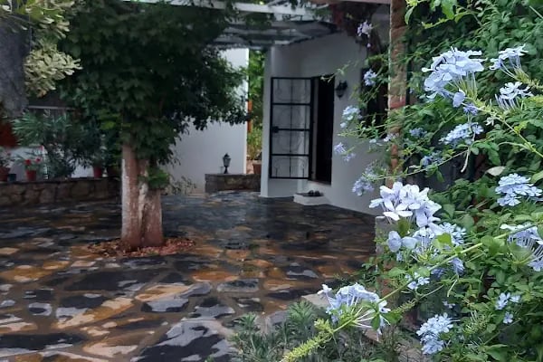 Yoga Center Bodrum - Resim 18