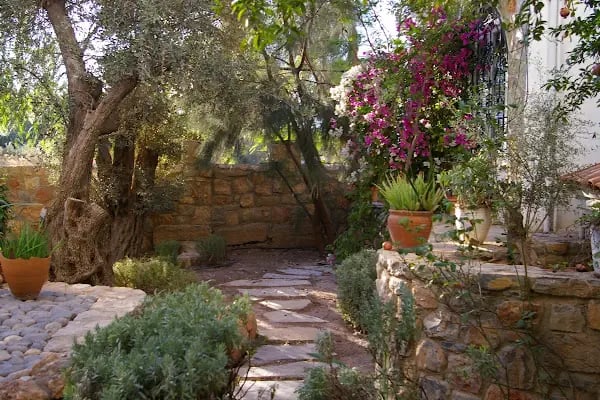 Yoga Center Bodrum - Resim 4