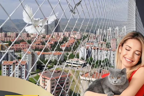 Viyol Marketim - Resim 7