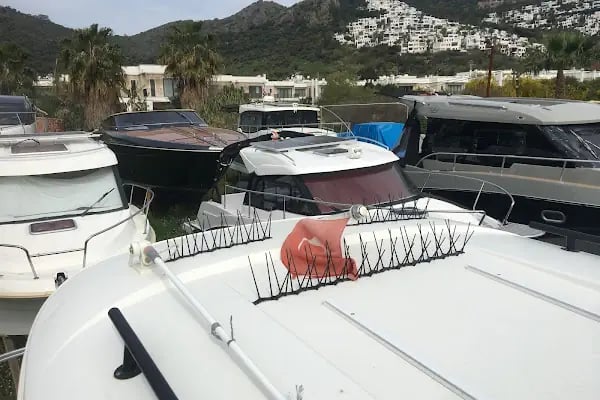 MARINEPARK BODRUM - Resim 7