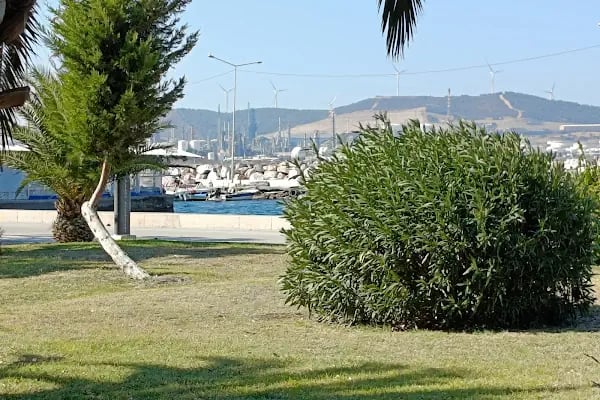 Olympia Cafe&Restaurant - Resim 10
