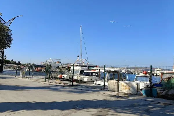 Olympia Cafe&Restaurant - Resim 5