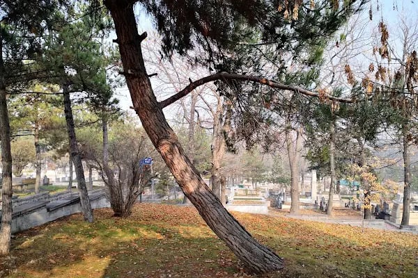 Cebeci Asri Mezarlığı - Resim 19