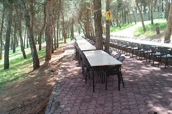 Gizem Doğan Yaşam Kampı - Resim 6