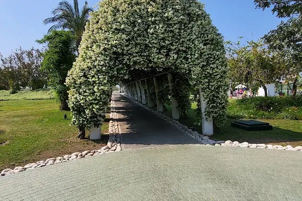 Holiday Village Turkey Hotel - Resim 13