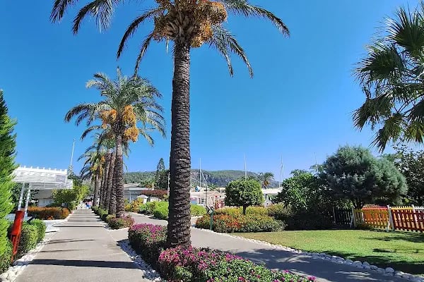 Holiday Village Turkey Hotel - Resim 15