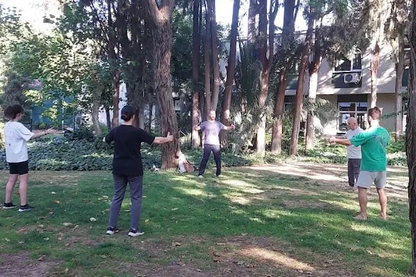 Chen Bing Taiji Academy İzmir - Resim 4