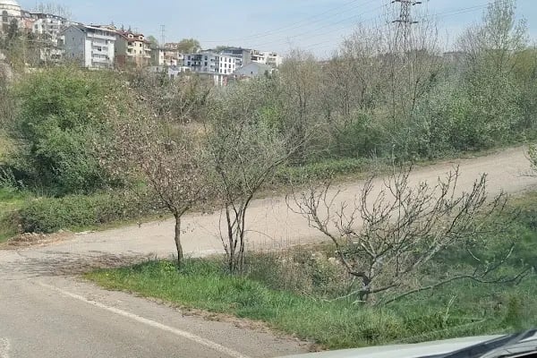 Millet bahçesi - Resim 9