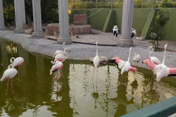ErdekLand Hayvanat Bahçesi ve Aquapark - Resim 11