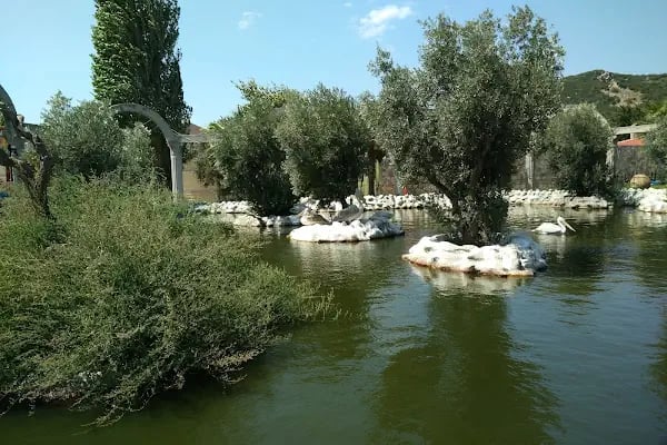 ErdekLand Hayvanat Bahçesi ve Aquapark - Resim 17