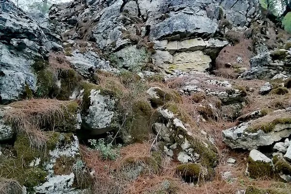 Yeşilçam doğa yürüyüş ve bisiklet yolu - Resim 15