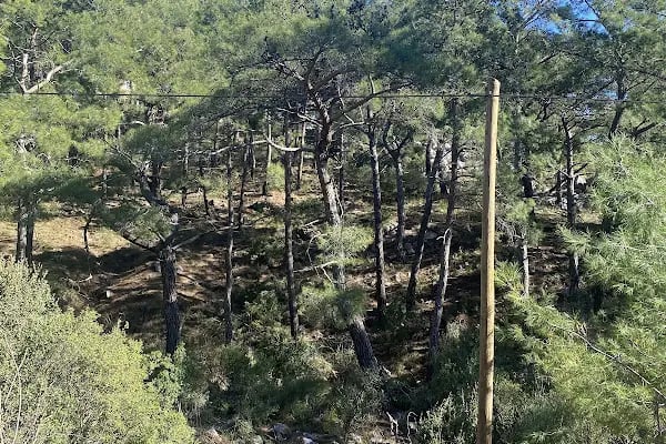 Yeşilçam doğa yürüyüş ve bisiklet yolu - Resim 9