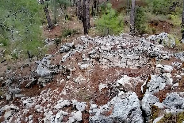 Yeşilçam doğa yürüyüş ve bisiklet yolu - Resim 2
