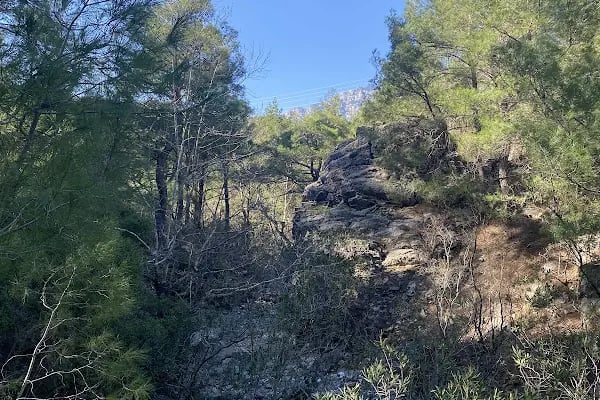 Yeşilçam doğa yürüyüş ve bisiklet yolu - Resim 5