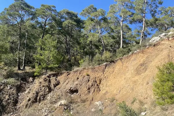 Yeşilçam doğa yürüyüş ve bisiklet yolu - Resim 14