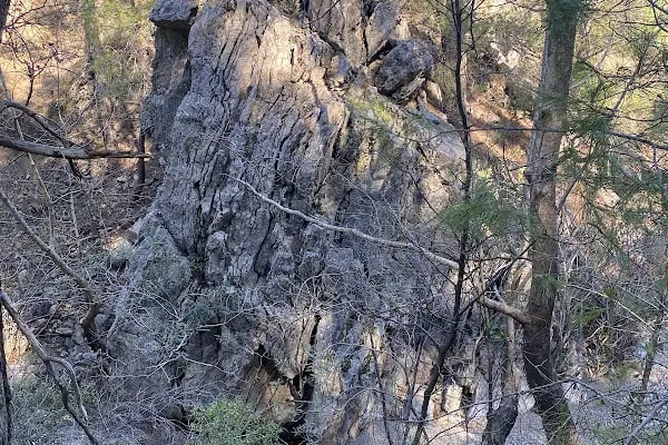 Yeşilçam doğa yürüyüş ve bisiklet yolu - Resim 16
