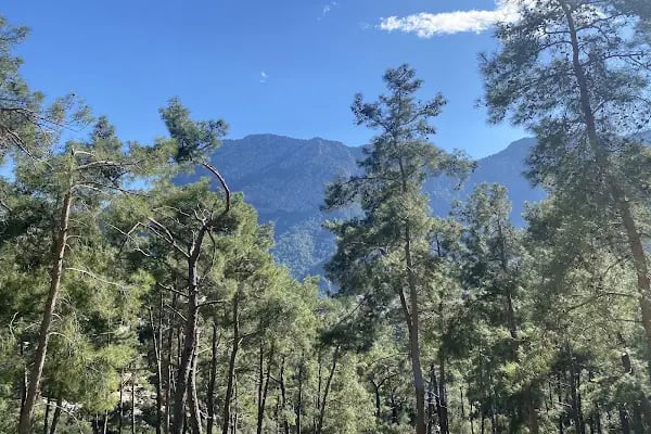 Yeşilçam doğa yürüyüş ve bisiklet yolu - Resim 12