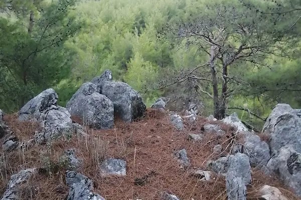Yeşilçam doğa yürüyüş ve bisiklet yolu - Resim 17