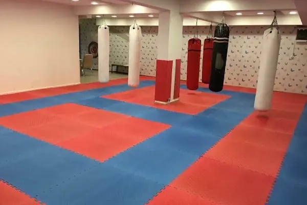 Nilüfer Kick Boks - Resim 3