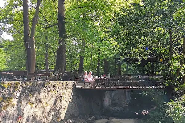 Dereağzı Alabalık Tesisleri - Resim 10