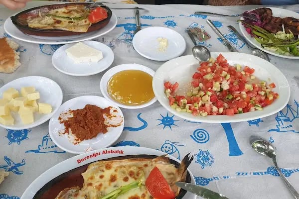 Dereağzı Alabalık Tesisleri - Resim 18