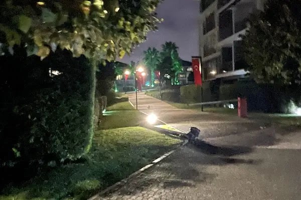 Avcılar Park - Resim 13