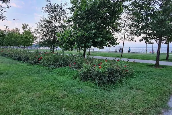 Avcılar Park - Resim 18