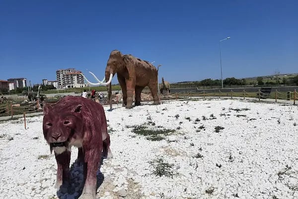 Tema park Ali Yücel çocuk müzwsi - Resim 2