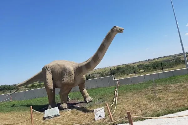 Tema park Ali Yücel çocuk müzwsi - Resim 5