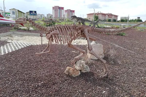 Tema park Ali Yücel çocuk müzwsi - Resim 10