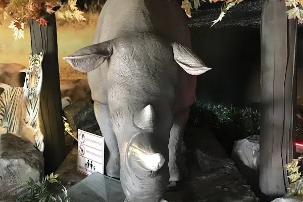 Tema park Ali Yücel çocuk müzwsi - Resim 16