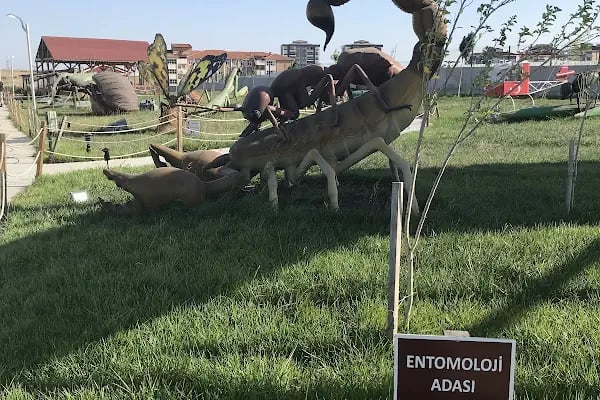 Tema park Ali Yücel çocuk müzwsi - Resim 7