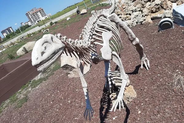 Tema park Ali Yücel çocuk müzwsi - Resim 13