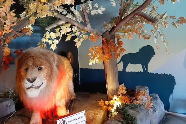 Tema park Ali Yücel çocuk müzwsi - Resim 4