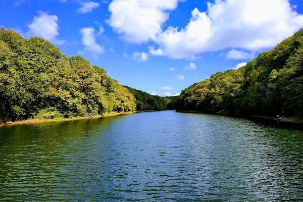 Belgrad Ormanı yürüyüş parkuru - Resim 2