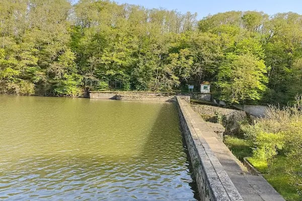 Belgrad Ormanı yürüyüş parkuru - Resim 10