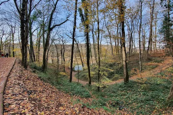Belgrad Ormanı yürüyüş parkuru - Resim 12