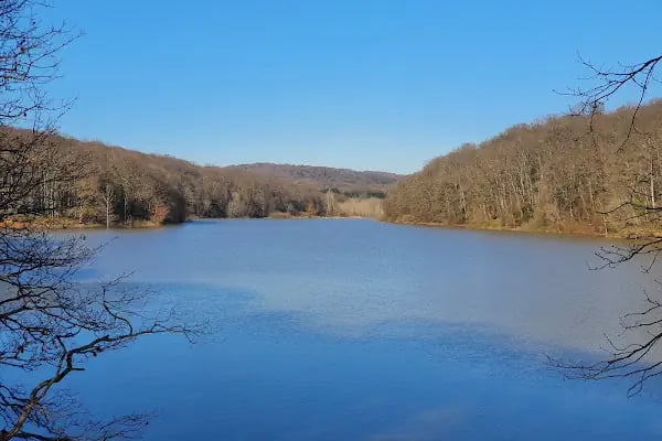 Belgrad Ormanı yürüyüş parkuru - Resim 5