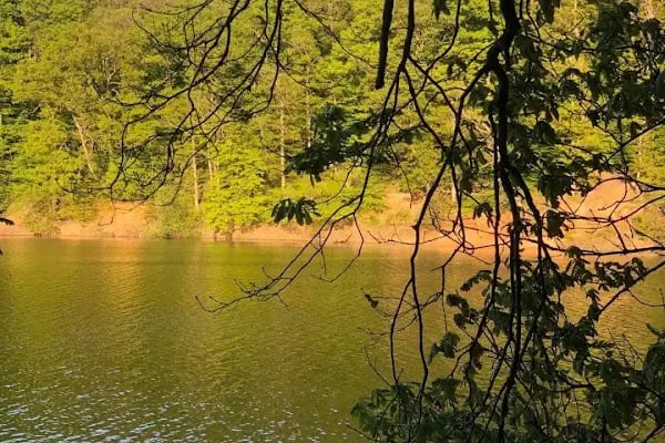 Belgrad Ormanı yürüyüş parkuru - Resim 17