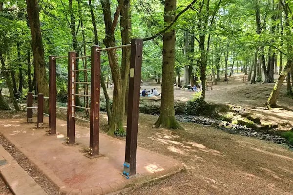 Belgrad Ormanı yürüyüş parkuru - Resim 16