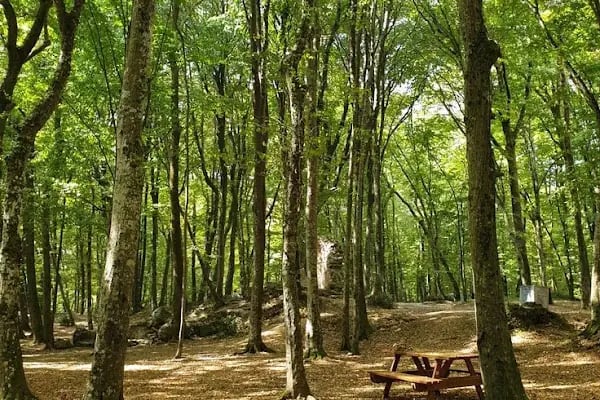 Belgrad Ormanı yürüyüş parkuru - Resim 6