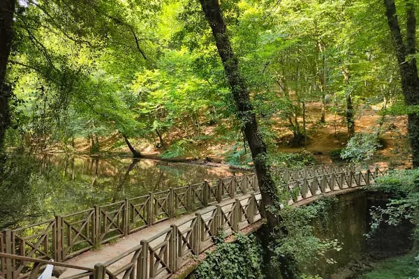 Belgrad Ormanı yürüyüş parkuru - Resim 11