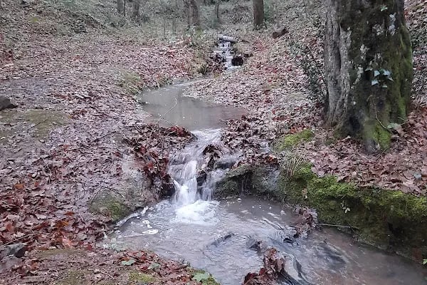 Belgrad Ormanı yürüyüş parkuru - Resim 18
