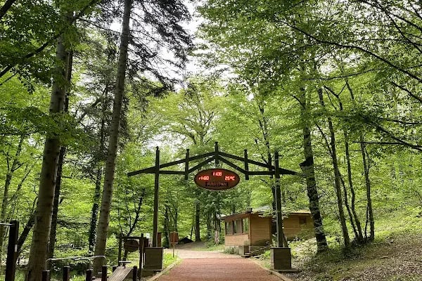 Belgrad Ormanı yürüyüş parkuru - Resim 1