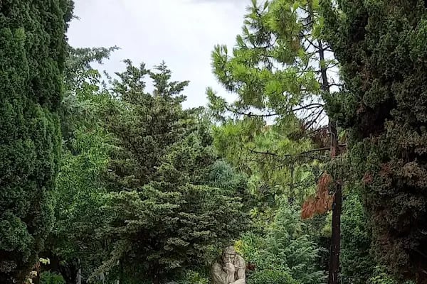 Bakırköy Dr. Sadi Konuk Eğitim ve Araştırma Hastanesi - Resim 13