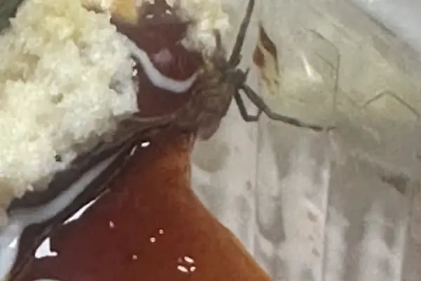 Somuncu Baba Unlu Mamülleri - Resim 4