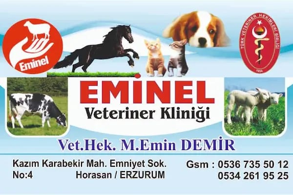 Eminel veteriner kliniği - Resim 3